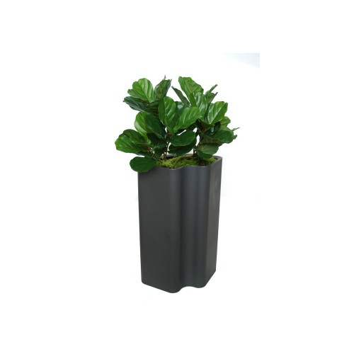 Planta semi-artificiala Ila, Ficus Lyrata Bush Medium Green - 120 cm